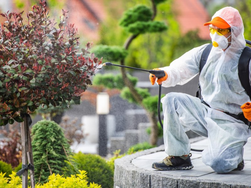 Bünyan Haşere İlaçlama